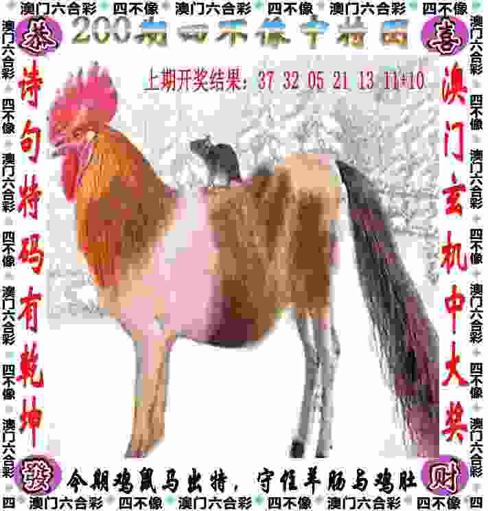 2019·第二届单车嘉年华在合肥市南岗镇激情开赛